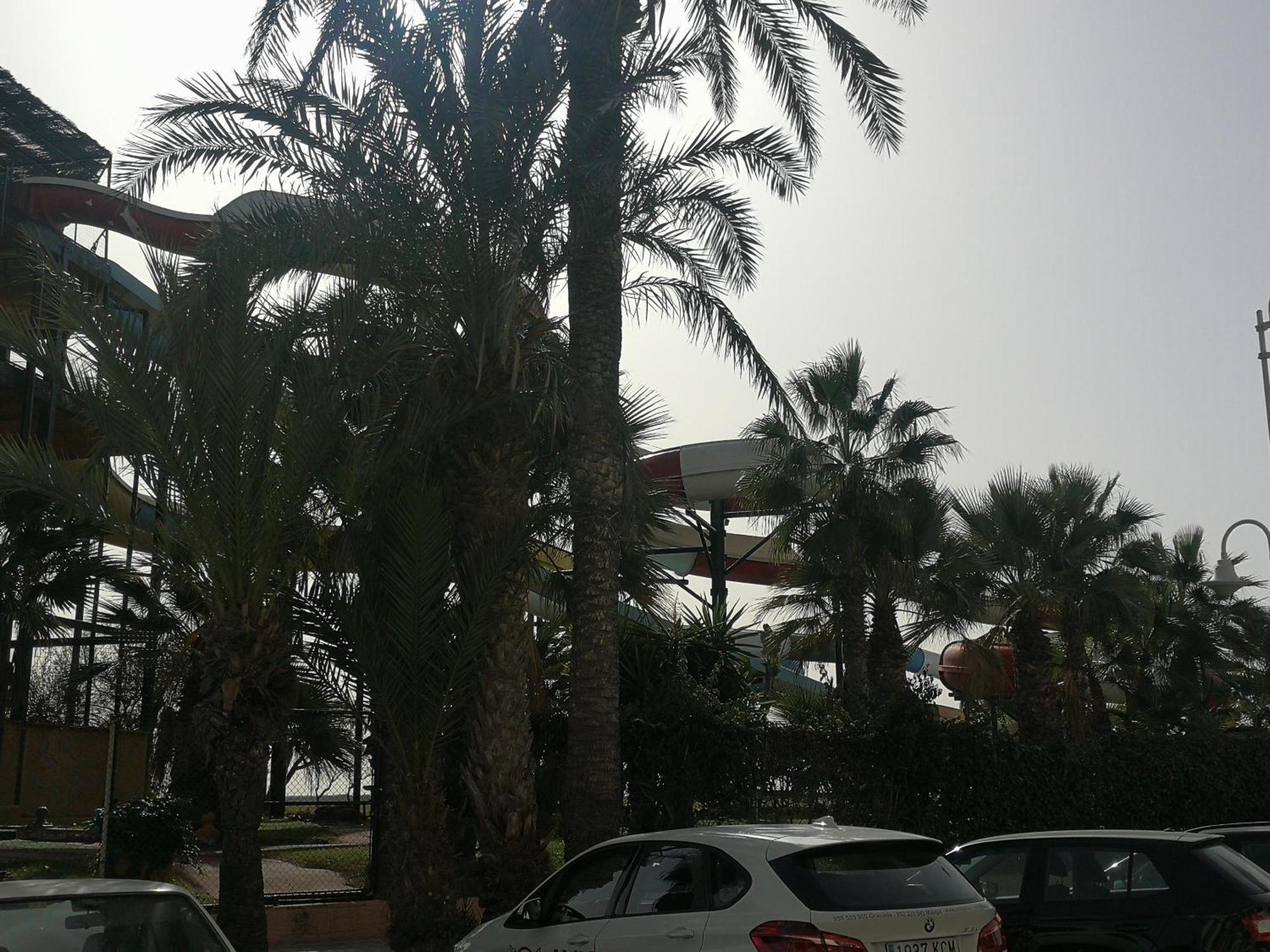 Apartamento Playa Velilla Park II 阿尔姆尼卡 外观 照片